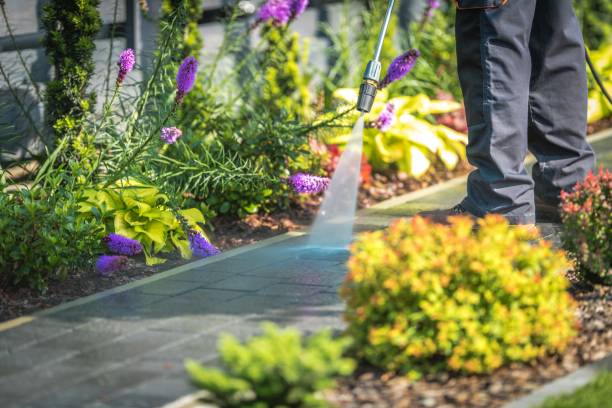 Best Parking Lot Cleaning in Boone, IA