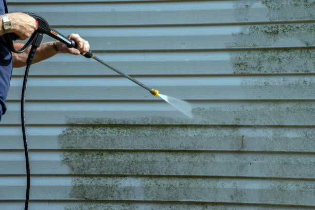 Best Vinyl Siding Pressure Washing in Boone, IA